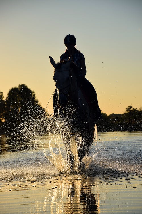 belek horse riding
